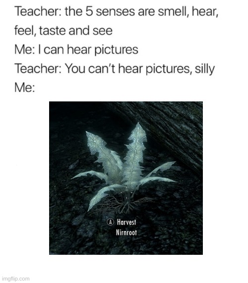 *Nirnroot sounds* | image tagged in i can hear pictures | made w/ Imgflip meme maker