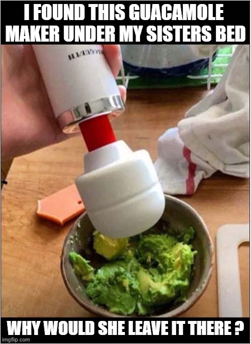 Misidentified Object ! | I FOUND THIS GUACAMOLE 
MAKER UNDER MY SISTERS BED; WHY WOULD SHE LEAVE IT THERE ? | image tagged in vibrations,sister,guacamole,dark humour | made w/ Imgflip meme maker
