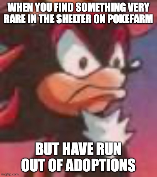 Shadow the Hedgehog | WHEN YOU FIND SOMETHING VERY RARE IN THE SHELTER ON POKEFARM; BUT HAVE RUN OUT OF ADOPTIONS | image tagged in shadow the hedgehog | made w/ Imgflip meme maker