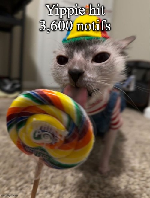 silly goober | Yippie hit 3,600 notifs | image tagged in silly goober | made w/ Imgflip meme maker