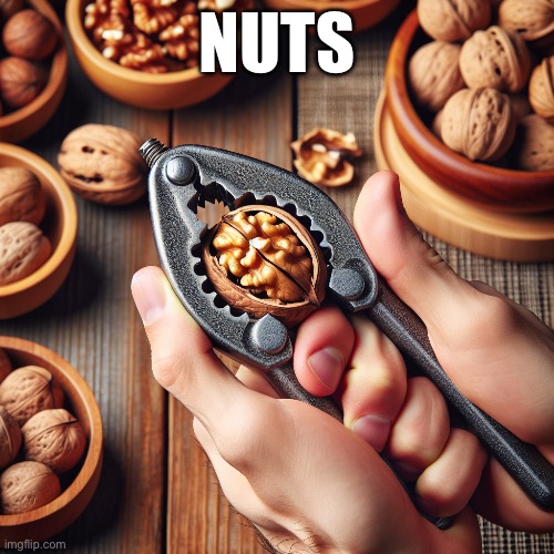 Nuts | NUTS | image tagged in nuts | made w/ Imgflip meme maker