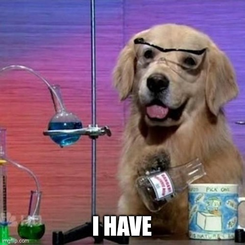 I Have No Idea What I Am Doing Dog Meme | I HAVE | image tagged in memes,i have no idea what i am doing dog | made w/ Imgflip meme maker