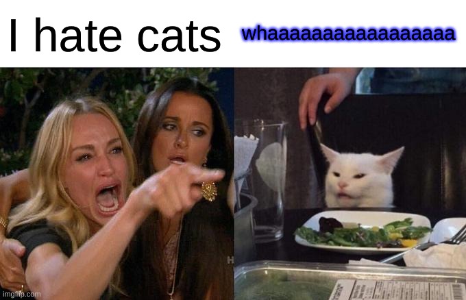 Woman Yelling At Cat | I hate cats; whaaaaaaaaaaaaaaaaa | image tagged in memes,woman yelling at cat | made w/ Imgflip meme maker