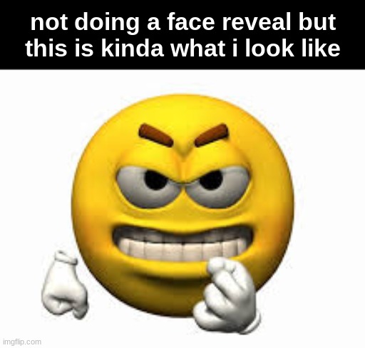 Angry emoji | not doing a face reveal but this is kinda what i look like | image tagged in angry emoji | made w/ Imgflip meme maker