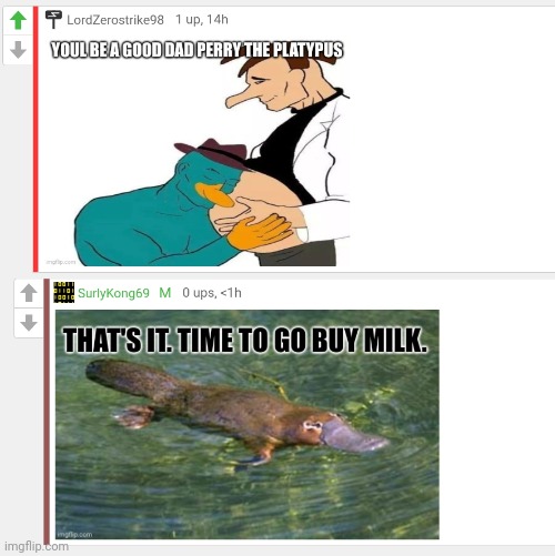Cursed comments lore | image tagged in stop it get some help,perry the platypus | made w/ Imgflip meme maker