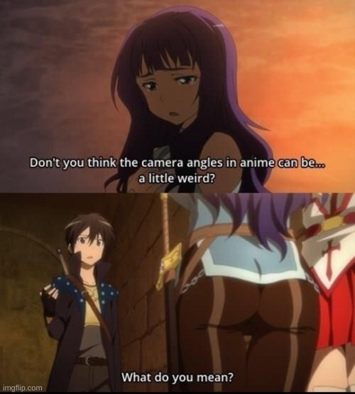 What do you mean? | image tagged in sao,animeme,camera | made w/ Imgflip meme maker