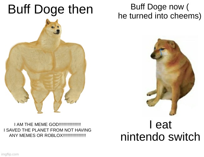 YEAHHHH!!!!!!!!!!!!WHOA WHOA WHOA HEY HEY HEY HEY HEY!!!!!!!!!!!!!!!!!!!!!! | Buff Doge then; Buff Doge now ( he turned into cheems); I AM THE MEME GOD!!!!!!!!!!!!!!!!!! I SAVED THE PLANET FROM NOT HAVING ANY MEMES OR ROBLOX!!!!!!!!!!!!!!!!!!! I eat nintendo switch | image tagged in memes,buff doge vs cheems | made w/ Imgflip meme maker