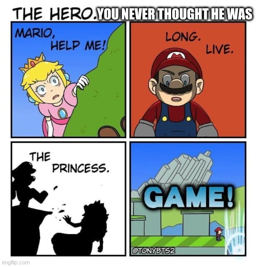 mario | YOU NEVER THOUGHT HE WAS | image tagged in fun | made w/ Imgflip meme maker