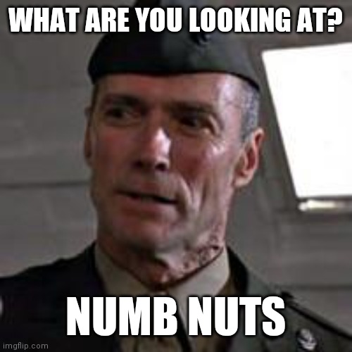 What are you looking at? | WHAT ARE YOU LOOKING AT? NUMB NUTS | image tagged in clint eastwood gunny highway,funny memes | made w/ Imgflip meme maker