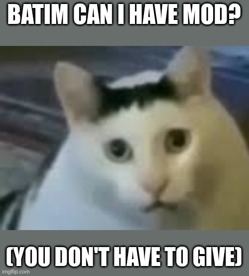 @batim | BATIM CAN I HAVE MOD? (YOU DON'T HAVE TO GIVE) | image tagged in yuh huh | made w/ Imgflip meme maker