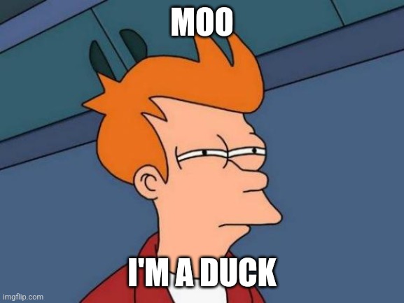 Moo, I'm a duck | MOO; I'M A DUCK | image tagged in memes,futurama fry,jpfan102504 | made w/ Imgflip meme maker