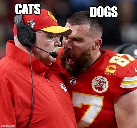 Travis Kelce screaming | CATS; DOGS | image tagged in travis kelce screaming,memes,funny,funny memes | made w/ Imgflip meme maker