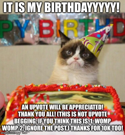 WOOOO HOOOOO PARTY IN THE  CHAT!... w's in the chhhat. | IT IS MY BIRTHDAYYYYY! AN UPVOTE WILL BE APPRECIATED! THANK YOU ALL! (THIS IS NOT UPVOTE BEGGING. IF YOU THINK THIS IS. 1. WOMP WOMP. 2. IGNORE THE POST.) THANKS FOR 10K TOO! | image tagged in memes,grumpy cat birthday,grumpy cat | made w/ Imgflip meme maker
