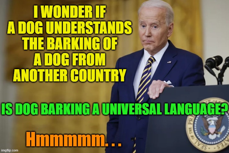 Most of the time Biden looks like he's having deep thoughts, like: | I WONDER IF A DOG UNDERSTANDS
THE BARKING OF
A DOG FROM
ANOTHER COUNTRY; IS DOG BARKING A UNIVERSAL LANGUAGE? Hmmmmm. . . | image tagged in joe biden,democrats,deep thoughts,maga,trump,election | made w/ Imgflip meme maker