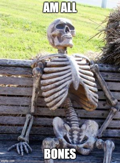 Waiting Skeleton | AM ALL; BONES | image tagged in memes,waiting skeleton | made w/ Imgflip meme maker
