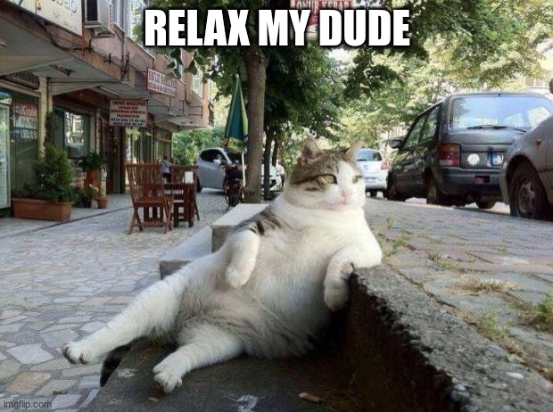 CAT RELAX | RELAX MY DUDE | image tagged in cat relax | made w/ Imgflip meme maker