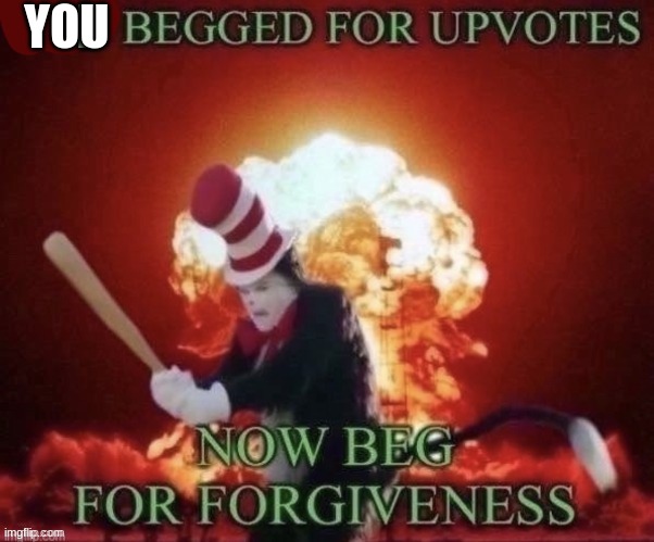 Sorry I begged for upvoted | YOU | image tagged in sorry i begged for upvoted | made w/ Imgflip meme maker