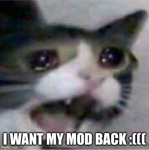 Waaah | I WANT MY MOD BACK :((( | image tagged in cat is sad | made w/ Imgflip meme maker