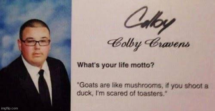 made w/ Imgflip meme maker