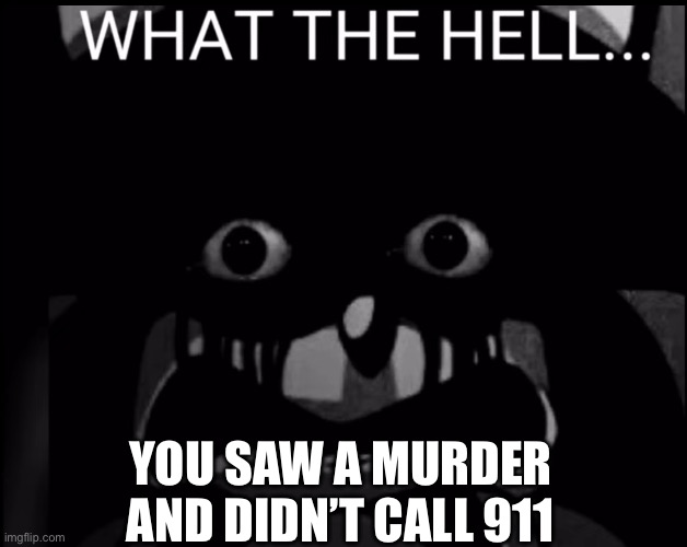 YOU SAW A MURDER AND DIDN’T CALL 911 | image tagged in what the hell | made w/ Imgflip meme maker