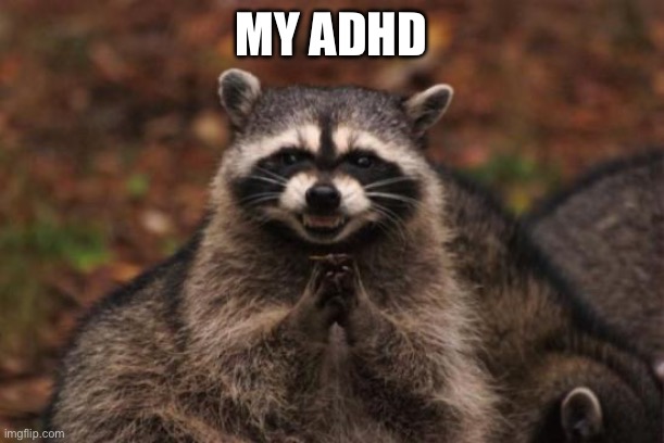 Scheming Racoon | MY ADHD | image tagged in scheming racoon | made w/ Imgflip meme maker