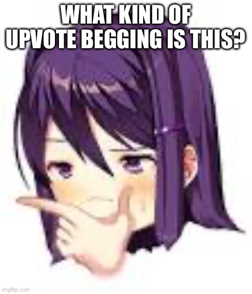 Thonking Yuri | WHAT KIND OF UPVOTE BEGGING IS THIS? | image tagged in thonking yuri | made w/ Imgflip meme maker