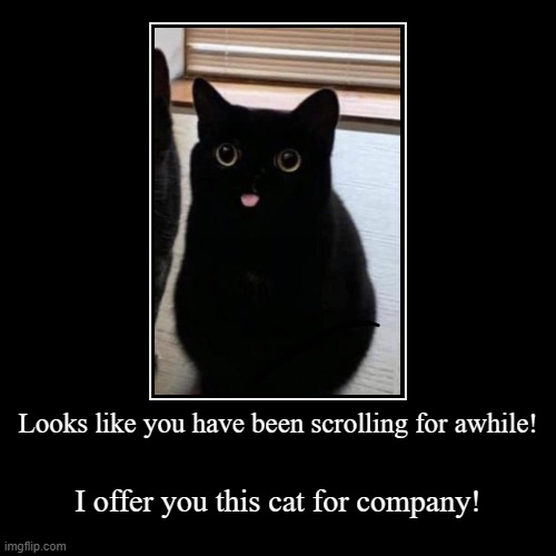 Do you accept? Look at how cute he is? You can't leave him behind! | Looks like you have been scrolling for awhile! | I offer you this cat for company! | image tagged in funny,demotivationals,cute cat | made w/ Imgflip demotivational maker