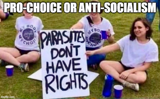 Which is their point | PRO-CHOICE OR ANTI-SOCIALISM | image tagged in abortion,abortion is murder,pro choice,socialism,socialists,communist socialist | made w/ Imgflip meme maker