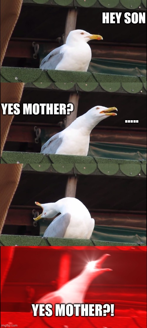 Inhaling Seagull Meme | HEY SON; ….. YES MOTHER? YES MOTHER?! | image tagged in memes,inhaling seagull,relatable | made w/ Imgflip meme maker