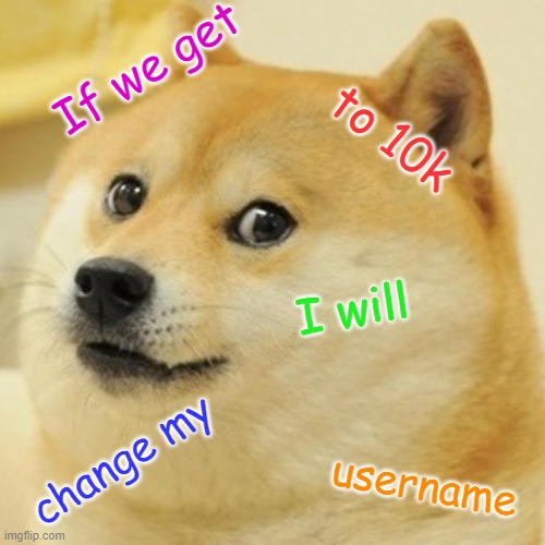 It will be changed to DogeKing | If we get; to 10k; I will; change my; username | image tagged in memes,doge | made w/ Imgflip meme maker