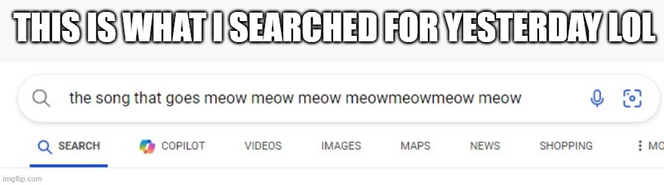 I found it a few minutes later tho | THIS IS WHAT I SEARCHED FOR YESTERDAY LOL | image tagged in google search,meow,song,memes,stop reading the tags | made w/ Imgflip meme maker