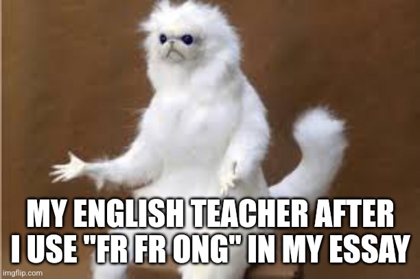 Angry Cat Meme | MY ENGLISH TEACHER AFTER I USE "FR FR ONG" IN MY ESSAY | image tagged in angry cat meme | made w/ Imgflip meme maker