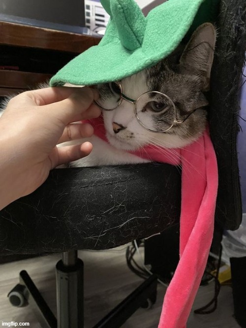 wrong animal dumbass | made w/ Imgflip meme maker