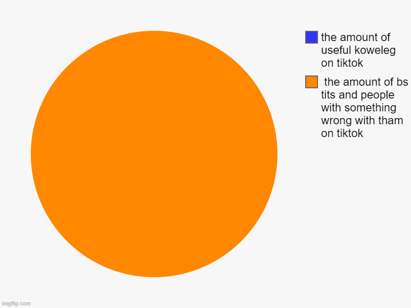 truth | the amount of bs tits and people with something wrong with tham  on tiktok, the amount of useful koweleg on tiktok | image tagged in charts,pie charts | made w/ Imgflip chart maker