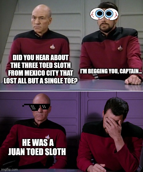 Juan toed sloth | DID YOU HEAR ABOUT THE THREE TOED SLOTH FROM MEXICO CITY THAT LOST ALL BUT A SINGLE TOE? I'M BEGGING YOU, CAPTAIN... HE WAS A JUAN TOED SLOTH | image tagged in picard riker listening to a pun,puns,jokes | made w/ Imgflip meme maker