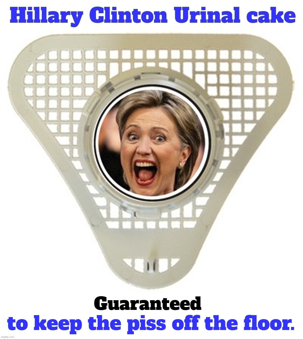 Get Your Crooked Hillary Urinal cake! | image tagged in crooked hillary,urinal guy,urinal,urinal target,urinal guy more text room,piss on you | made w/ Imgflip meme maker