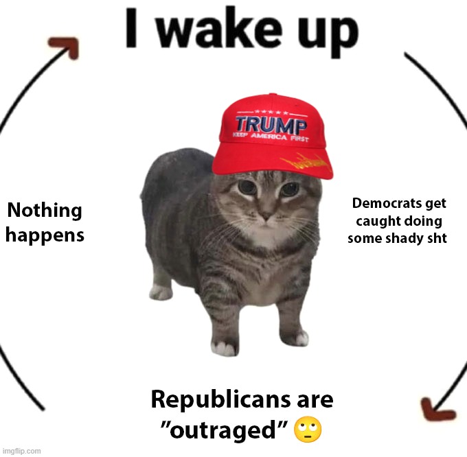 image tagged in trump,democrats,republicans,gop,cat,government corruption | made w/ Imgflip meme maker