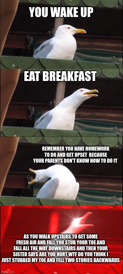 Inhaling Seagull | YOU WAKE UP; EAT BREAKFAST; REMEMBER YOU HAVE HOMEWORK TO DO AND GET UPSET  BECAUSE YOUR PARENTS DON'T KNOW HOW TO DO IT; AS YOU WALK UPSTAIRS TO GET SOME FRESH AIR AND FALL YOU STUB YOUR TOE AND FALL ALL THE WAY DOWNSTAIRS AND THEN YOUR SISTER SAYS ARE YOU HURT WTF DO YOU THINK I JUST STUBBED MY TOE AND FELL TWO STORIES BACKWARDS | image tagged in memes,inhaling seagull | made w/ Imgflip meme maker