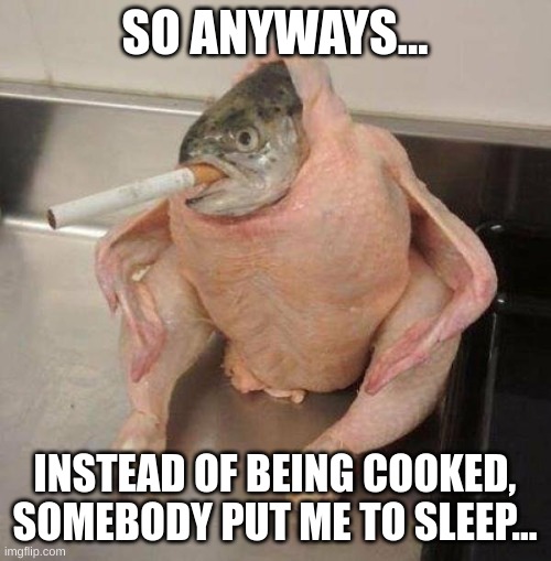 Smoking Fish in raw chicken | SO ANYWAYS... INSTEAD OF BEING COOKED, SOMEBODY PUT ME TO SLEEP... | image tagged in smoking fish in raw chicken | made w/ Imgflip meme maker