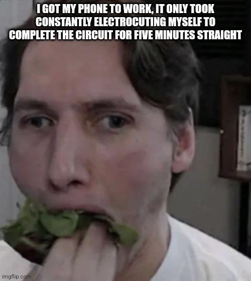 Am tingly | I GOT MY PHONE TO WORK, IT ONLY TOOK CONSTANTLY ELECTROCUTING MYSELF TO COMPLETE THE CIRCUIT FOR FIVE MINUTES STRAIGHT | image tagged in jerma eating lettuce | made w/ Imgflip meme maker