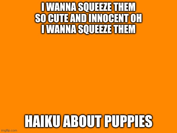 cuteness | I WANNA SQUEEZE THEM
SO CUTE AND INNOCENT OH
I WANNA SQUEEZE THEM; HAIKU ABOUT PUPPIES | image tagged in cute puppies,haiku | made w/ Imgflip meme maker