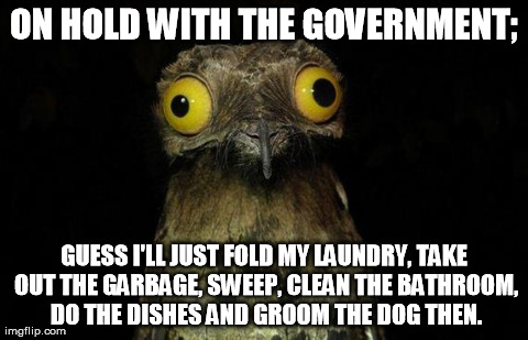 Weird Stuff I Do Potoo Meme | ON HOLD WITH THE GOVERNMENT; GUESS I'LL JUST FOLD MY LAUNDRY, TAKE OUT THE GARBAGE, SWEEP, CLEAN THE BATHROOM, DO THE DISHES AND GROOM THE D | image tagged in memes,weird stuff i do potoo | made w/ Imgflip meme maker