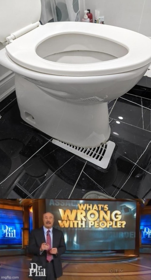Toilet installation fail | image tagged in dr phil what's wrong with people,toilet,toilets,installation,you had one job,memes | made w/ Imgflip meme maker