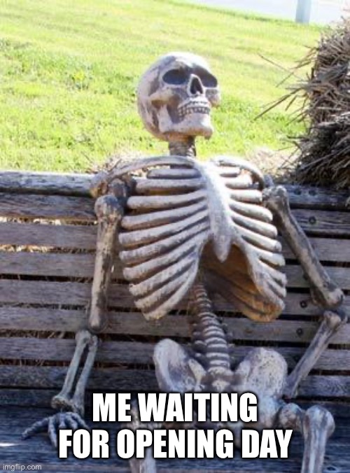 Why does it feel like so longgggg | ME WAITING FOR OPENING DAY | image tagged in memes,waiting skeleton,mlb baseball | made w/ Imgflip meme maker