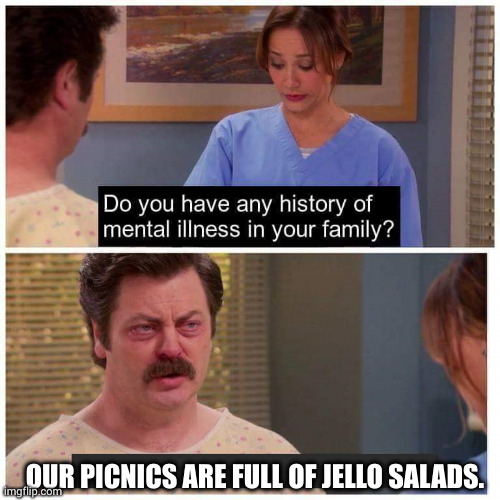 Our picnics are a sign of mental illness | OUR PICNICS ARE FULL OF JELLO SALADS. | image tagged in do you have any history of mental ilness in your family,parks and recreation,ron swanson,memes,jello salads,ambrosia | made w/ Imgflip meme maker