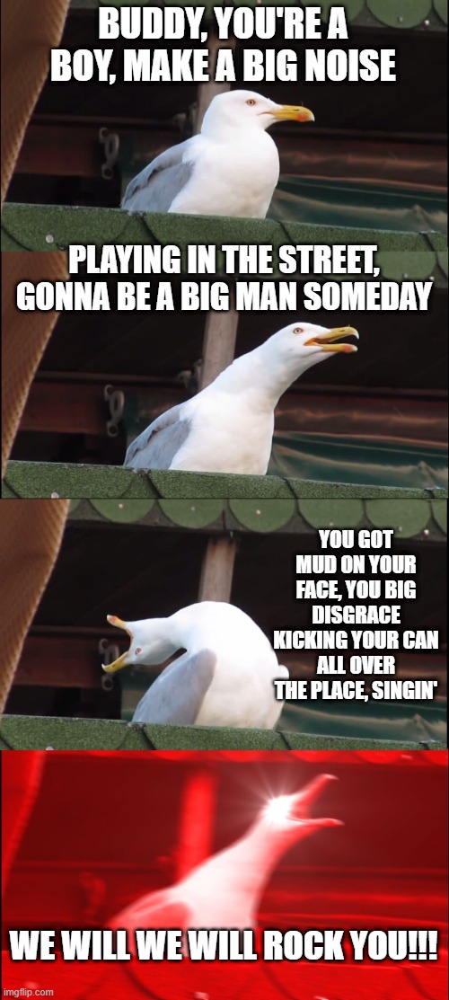 Queen Sang... | BUDDY, YOU'RE A BOY, MAKE A BIG NOISE; PLAYING IN THE STREET, GONNA BE A BIG MAN SOMEDAY; YOU GOT MUD ON YOUR FACE, YOU BIG DISGRACE
KICKING YOUR CAN ALL OVER THE PLACE, SINGIN'; WE WILL WE WILL ROCK YOU!!! | image tagged in memes,inhaling seagull | made w/ Imgflip meme maker
