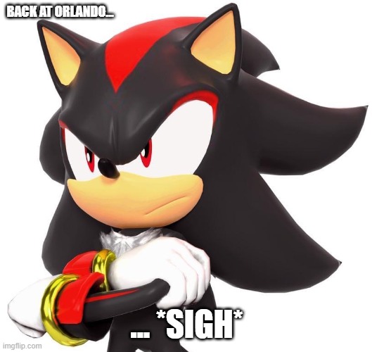 Shadow The Hedgehog | BACK AT ORLANDO... ... *SIGH* | image tagged in shadow the hedgehog | made w/ Imgflip meme maker