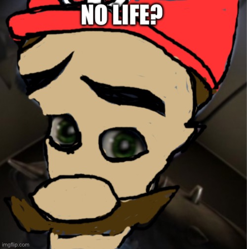 Mario no life? | image tagged in mario no life | made w/ Imgflip meme maker