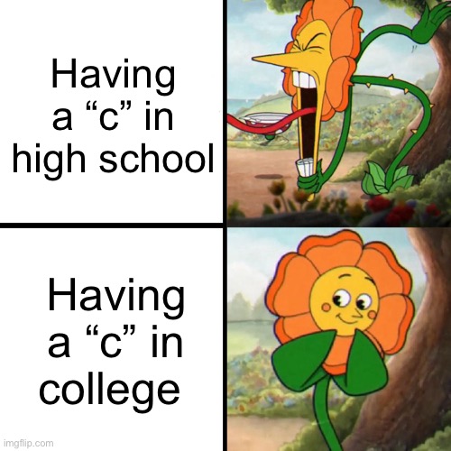 C | Having a “c” in high school; Having a “c” in college | image tagged in cuphead flower,school,grades | made w/ Imgflip meme maker