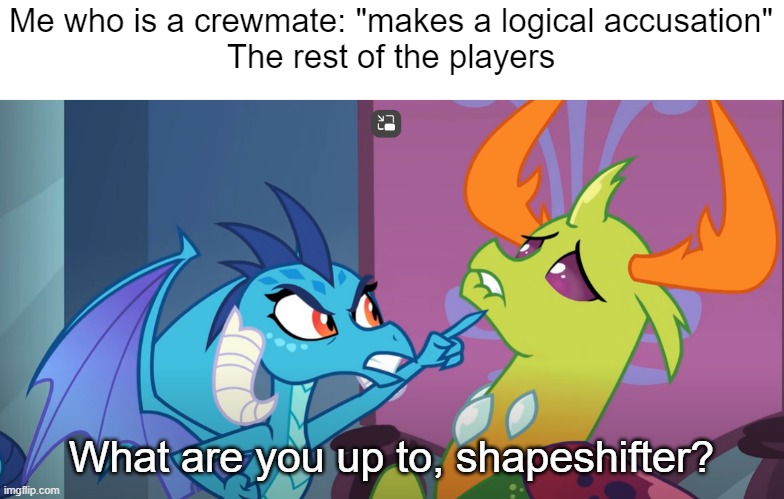 Why does this happen always | Me who is a crewmate: "makes a logical accusation"
The rest of the players; What are you up to, shapeshifter? | image tagged in among us,sus,sussy,memes,so true memes | made w/ Imgflip meme maker